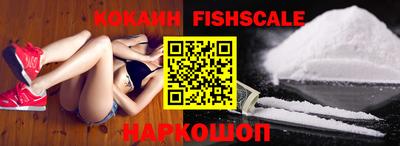 крисы Кулебаки