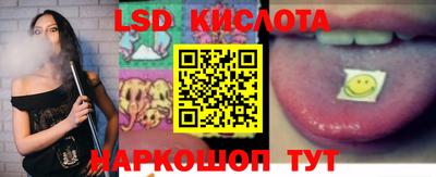 крисы Кулебаки