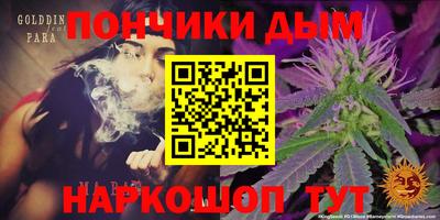 крисы Кулебаки