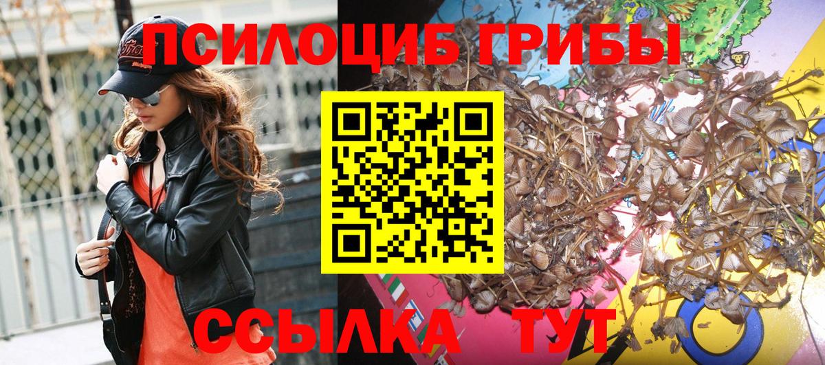 Галлюциногенные грибы мицелий Еманжелинск