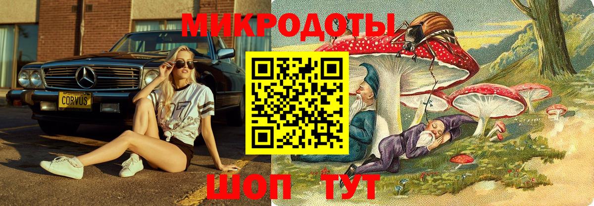 Еманжелинск  Галлюциногенные грибы Cubensis  Вход с VPN 